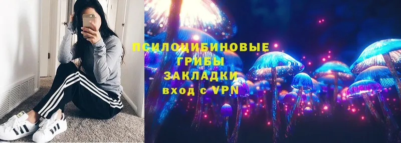 дарк нет состав  закладки  Волчанск  Псилоцибиновые грибы Magic Shrooms 